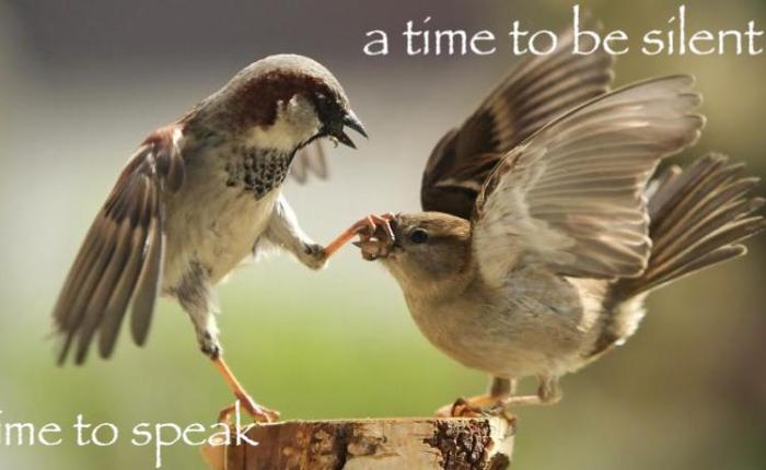 In our WORDS, and in our SILENCE, Thy Kingdom Come